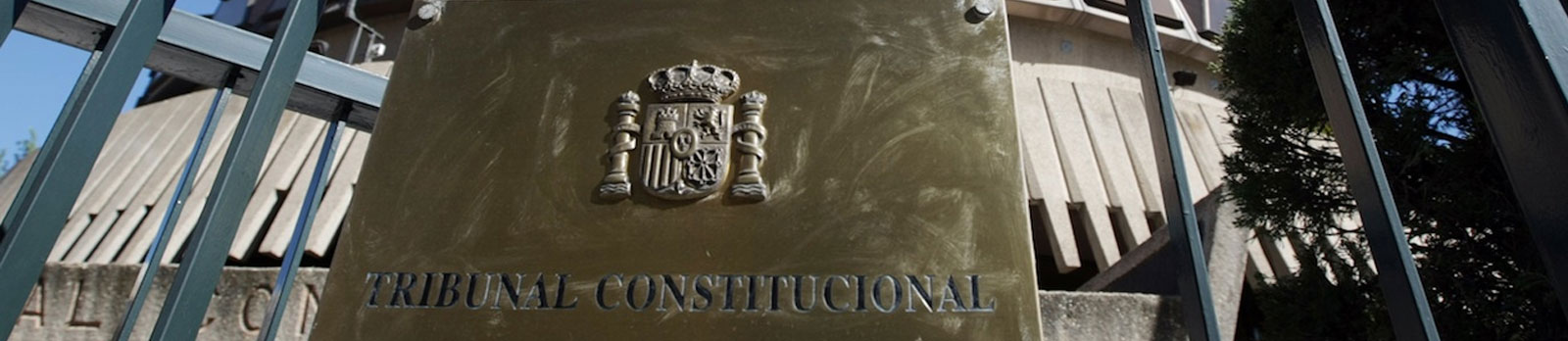 Procuradora de los Tribunales de Madrid